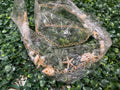 Big charm mermaidcore sea shell link chain